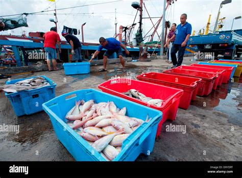 fish site|Fisheries .
